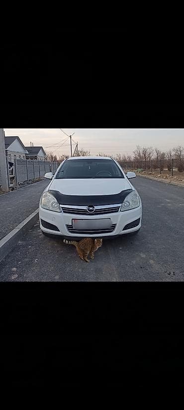 Продажа авто: Opel Astra: 2011 г., 1.8 л, Автомат, Бензин, Седан — 9