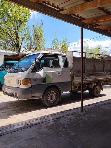 грузовой каракол: Легкий грузовик, Hyundai, Дубль — 5