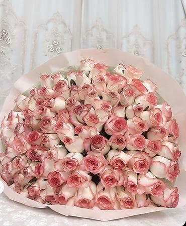 Букет из роз «Биколор Пинк» - Элегантная композиция из крупных at lalafo.kg Букет из роз «Биколор Пинк» - Элегантная композиция из крупных