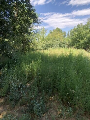 дом в московском районе: Үй, 50 кв. м, 4 бөлмө, Менчик ээси, Эски ремонт — 3