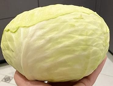 продать кукурузу: Капуста Белокачанная — 2