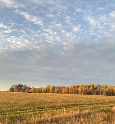 Недвижимость: 730 соток, Для сельского хозяйства — 3