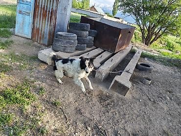 мешки для мусора: Железобетонные балки (ригели/перемычки) Описание: - Массивные ЖБИ — 2