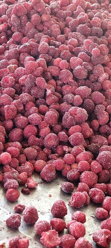 Малина Оптом