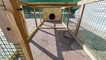 корм для цыплят: Уяча, гнездо с выгулом для цыплят утят гусят и тд, мини курятник — 8