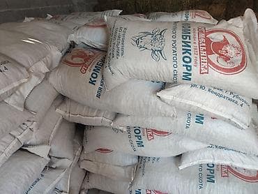 арашан ко: Корм — 3