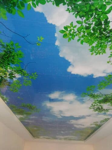 сдаю авто по следующий выкуп: Натяжные потолки Глянцевые, Матовые, 3D потолки Гарантия, Бесплатная консультация, Бесплатный замер — 4