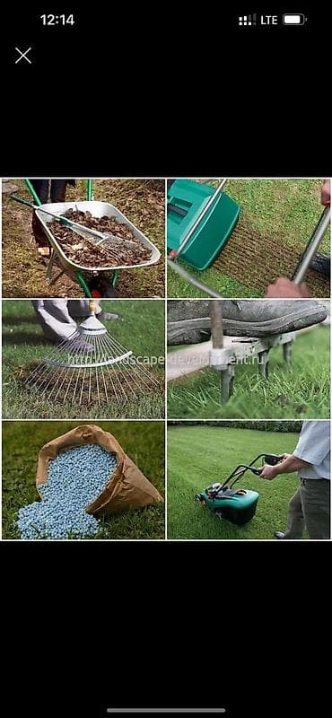 ландшафтный дизайн бишкек цены: 🌱Я Садовник Сеем газон Посев газон Я Садовник приходящий раз в — 1