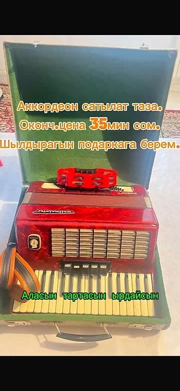 Аккордеоны: Аккордеон с кейсом. - Корпус в эффектном красно-перламутровом цвете - — 1