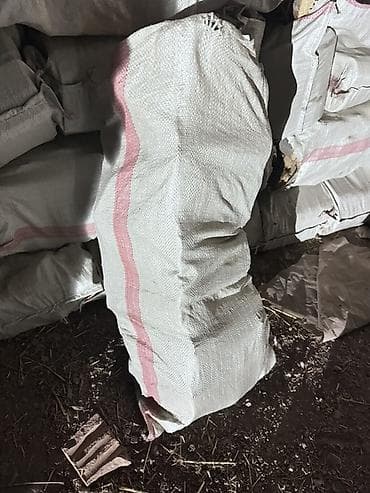 дрова в мишках: Дрова — 2