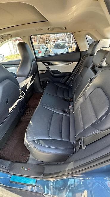 электромобиль w6: Weltmeister 2022 г., 52000 км, В наличии — 6