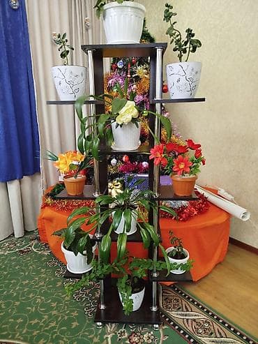 полки напольные: Полка, этажерка для цветов, Новый, ЛДСП — 2