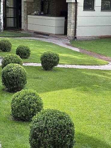 садовники: Садовник: сеем газон,полив, уборка, обслуживание домов раз неделю — 7