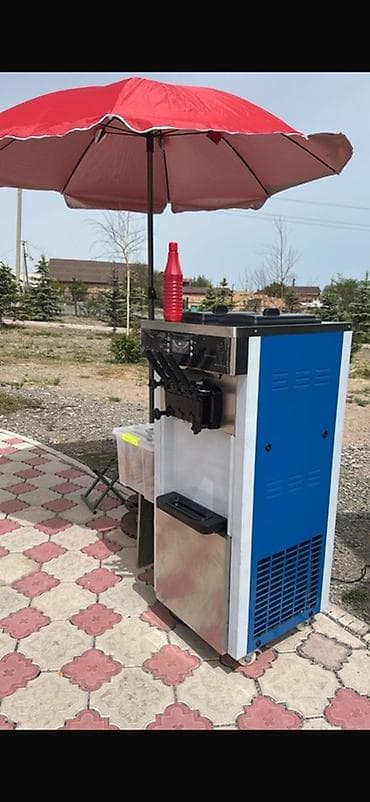 Оборудование для бизнеса: Профессиональный аппарат для мягкого мороженого (фризер) - Напольная — 1