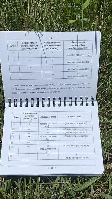 переписать конспект за деньги: Справочник «Все правила корейского языка на ладони» (издательство — 4