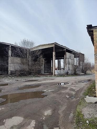 Жер тилкелери: 100 соток, Курулуш, Техпаспорт, Сатып алуу-сатуу келишими, Кызыл китеп — 3