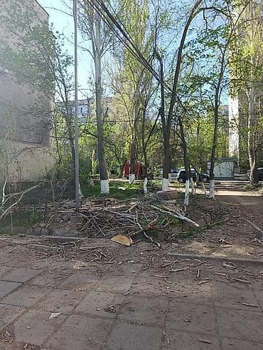 империя пиццы аламедин 1: Дрова Самовывоз — 5