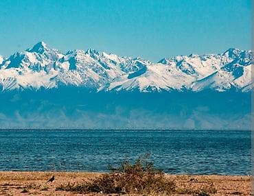 4 соток, Для бизнеса, Красная книга