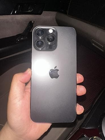 IPhone 16 Pro Max, 256 ГБ, Space Gray