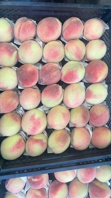 фрукты овощи: Свежие фрукты и овощи поставка до вашего магазина, маркета, школы, дет — 4