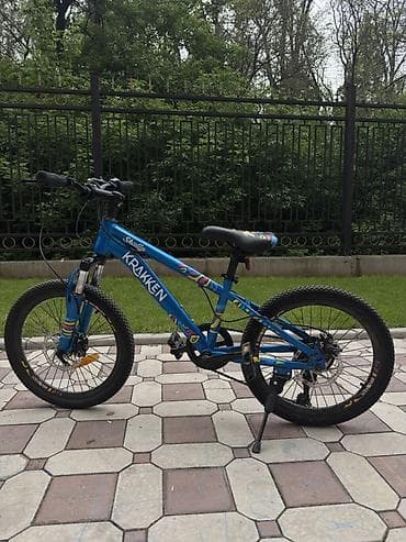 fixed gear: Детский велосипед, 2-колесный, 9 - 13 лет, Для мальчика, Б/у — 1