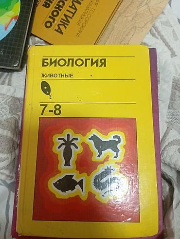 third edition solution: Набор школьных учебников: 1) Информатика 7–9. Авторы: И. Н. Цыбуля — 2