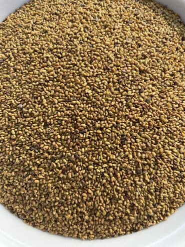 битал теке: Озүбүздүн талаалардан чыккан 100% Беде урук көп жылдык. Быйылкы жана — 2