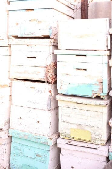 домик для кроликов: Пчелиные ульи из дерева, около 45 комплектов предназначенные для — 7