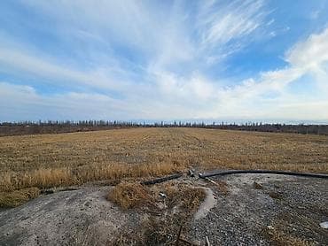 земля багара: 150 соток, Для сельского хозяйства — 3