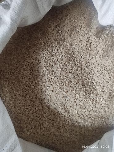 куплю орех: Рис в мешках, несколько типов шлифовки и крупности. - Вид: рис — 2