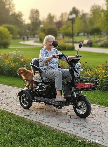 Электрический трехколесный скутер - Три колеса с литые дисками