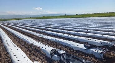 стол шкаф: Теплица, предназначенная для выращивания различных — 14