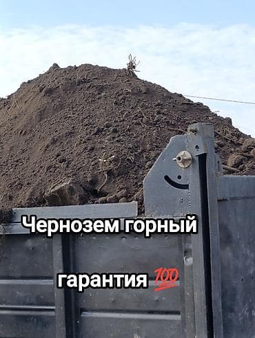 ежевичная зима: В тоннах, Портер, Зил, Камаз — 1