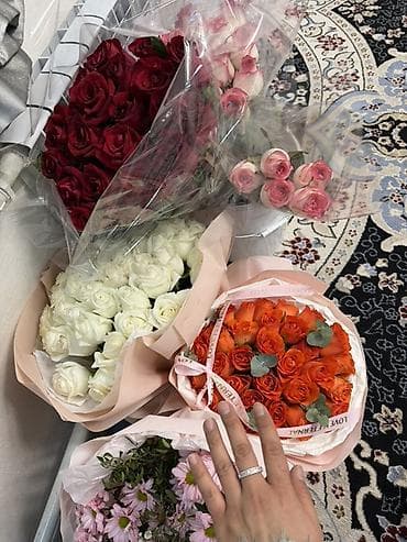 растения цветы: Срочно ушул гулдорду сатам оз баасынан арзаныраак номер — 5