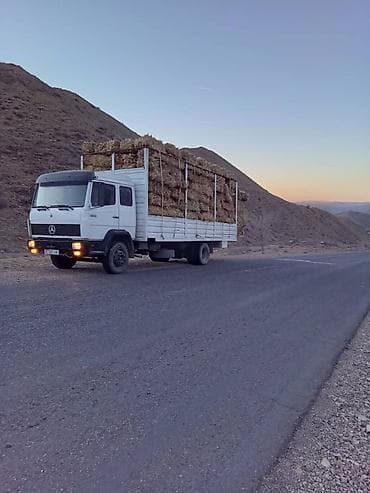 спринтер кузув: Жүк ташуучу унаа, Mercedes-Benz, Стандарт, Колдонулган — 2