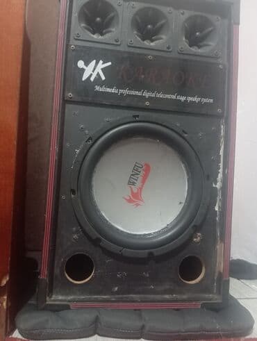 Динамики и колонки