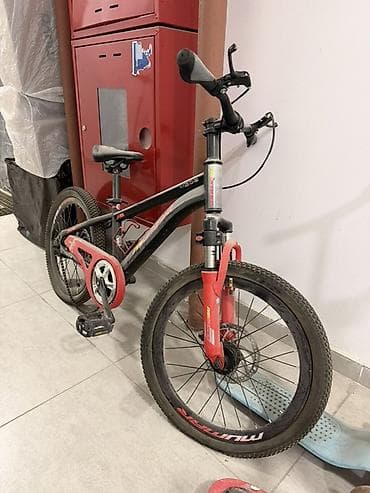 Өспүрүм балдар үчүн велосипед — 1