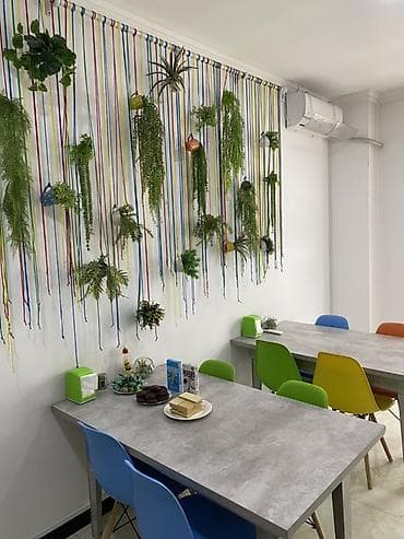 бутка для кофе: Срочно !!!продается один стол8 разноцветных кресел,плюс декоративная — 1