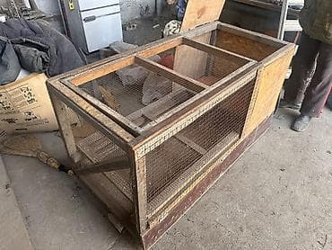 Брудер для цыплят. Цена 4000 Размеры: Длина 152 см Высота 78 см