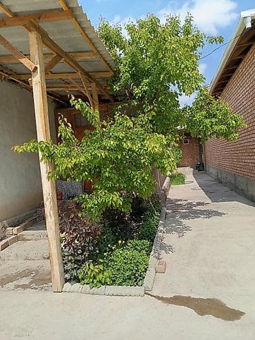 каркас для теплицы: Навес, Односкатный, Дерево, Другой материал — 1