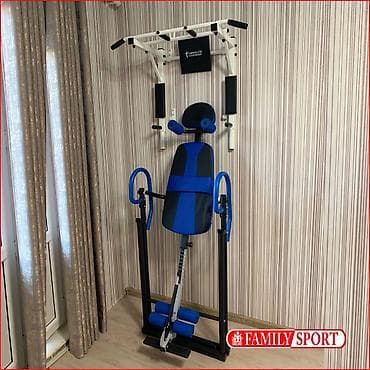 Family SPORT Цена турника 5000с и установка 1000coм Инверсионный