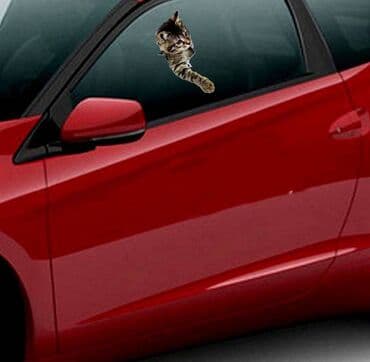 приятного просмотра вам: Наклейка, стикер 3D с изображением кошки, 3D трехмерная милая — 6