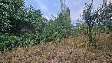 жер сатыла: Үй, 45 м², 3 бөлмө, Менчик ээси, Эски ремонт — 6