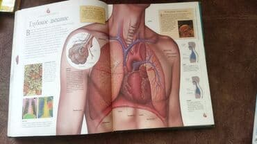 камуфляж форма бишкек: Продаю энциклопедию . 400 страниц в хорошем состоянии. твердый — 8