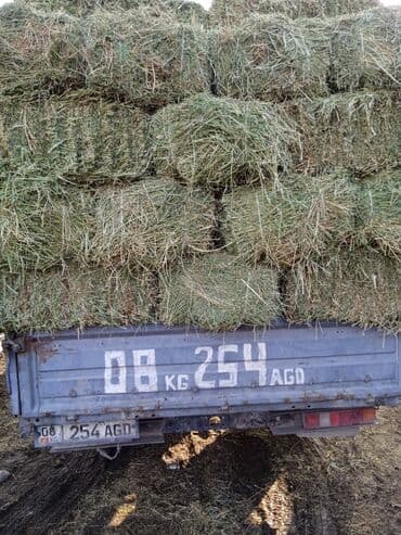 кукуруза пшеница: Либой количества туки продайом саман беде чоп — 3