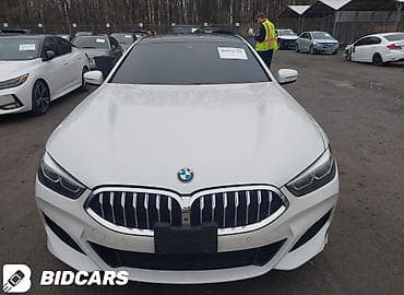 насадка для глушителя: BMW 8 series: 2020 г., 3 л, Автомат, Бензин, Купе — 2