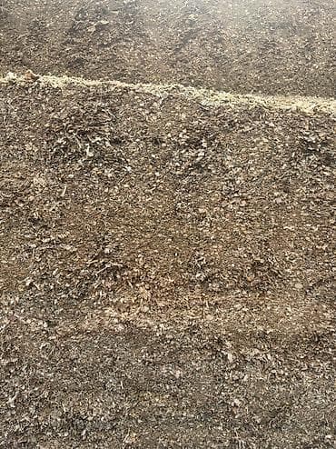 боос кой: Продаю силос высокого качества Адрес Ысык атинский район село Кенеш — 2