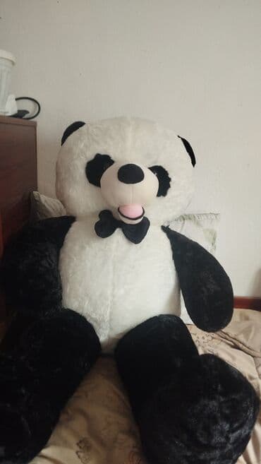 скейтборд завтра катать: Новый — 1