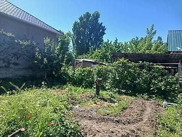 продаётся дом село сосновка: Продаётся частный домовладение с двором и садовым участком. - — 1