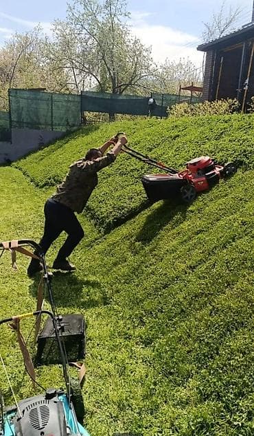 пересадка дерева: Уборка территории, Уборка снега, Уборка двора и сада, Мойка фасада — 7